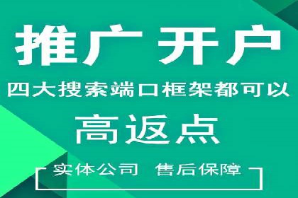 提升广告ROI：SEM竞价优化的实战案例